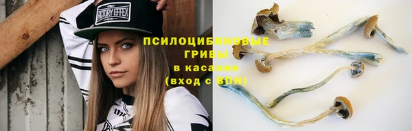 дживик Волосово