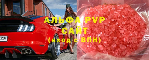 крисы Верея