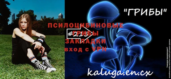 крисы Верея