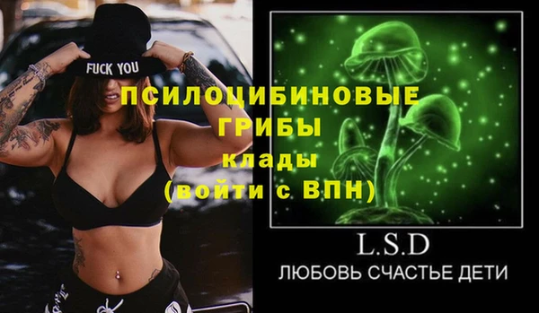 молекула духа Верхний Тагил
