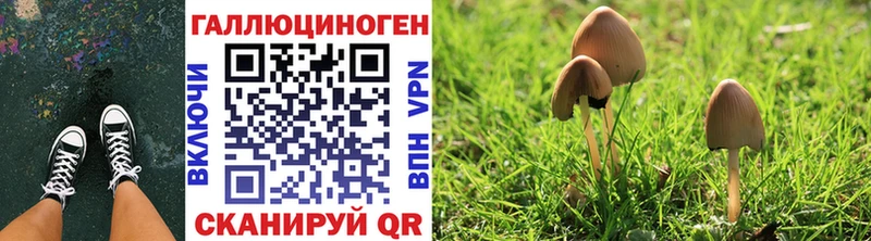 Псилоцибиновые грибы ЛСД  Купить закладки  Мирный 
